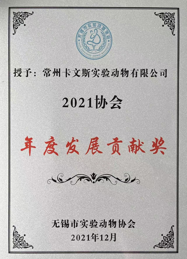 發(fā)展貢獻獎